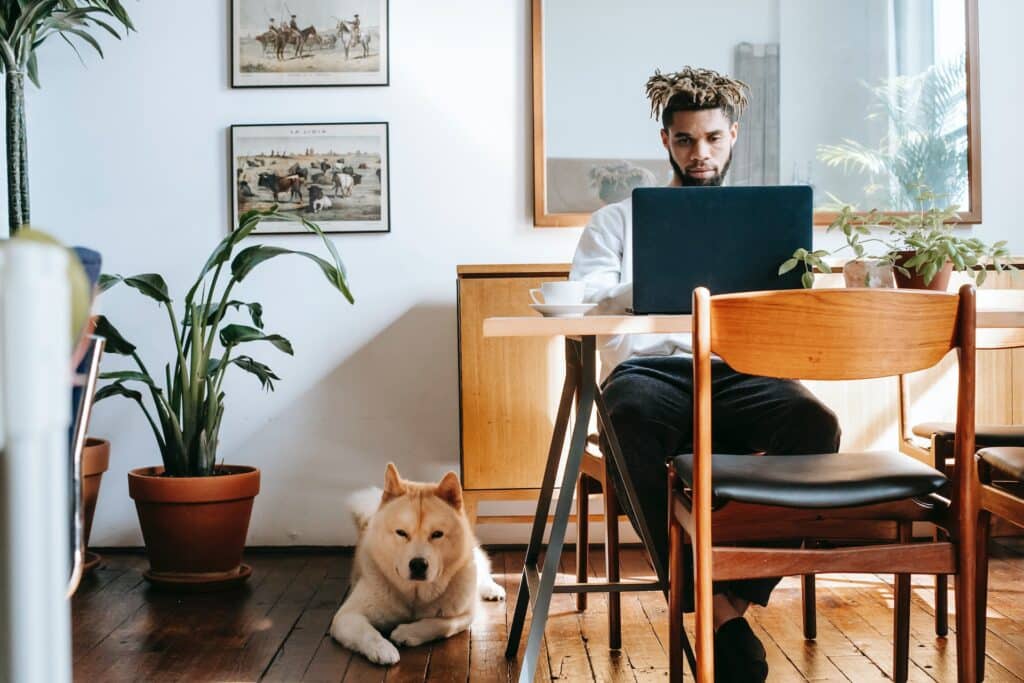 What is the starting credit score