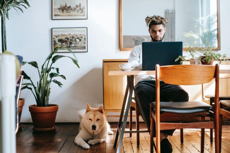 What is the starting credit score