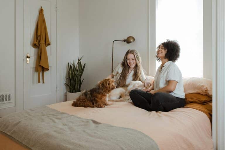What is a contingent loan